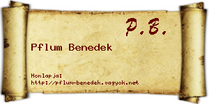 Pflum Benedek névjegykártya